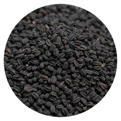 Black Seed Oil